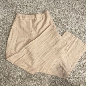 Express Beige Pinstripe Trousers
